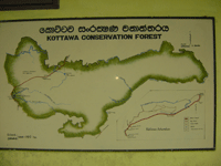 Forest Map